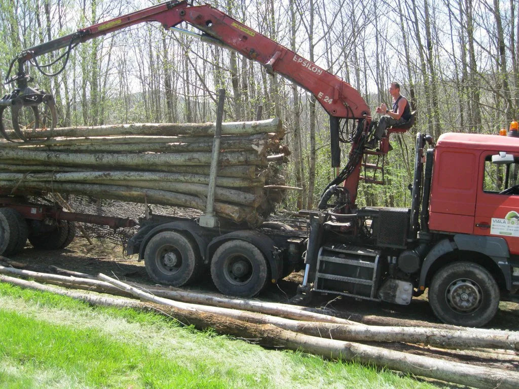 Camion de bois en grume –  châtaignier – 50 stères